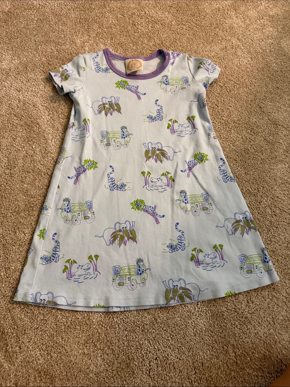 The Beaufort Bonnet Company Light Blue Dress with Purple Trim and Green Accents